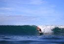 서핑  MLP SURF